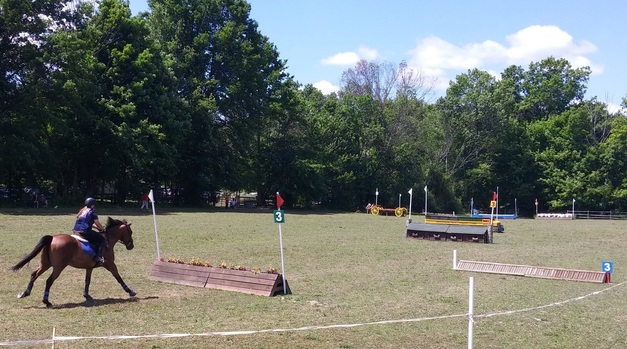 XC course jump 3.